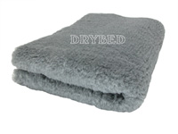 Tapis chien, Drybed